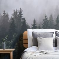 Image Forest