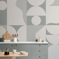 Image Geometric