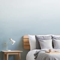 Image Ombre